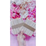 paleta de helados natural x50