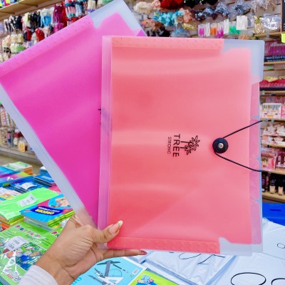 carpeta tipo acordeon