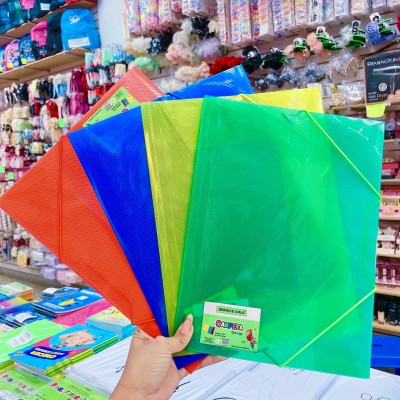 carpeta plastica con liga carta